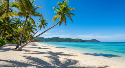 Wide tropical beach with leaning palms, white sand and crystal clear blue water under bright sky, scenic island coastline
