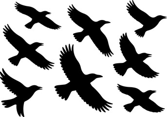 "Flying Raven and Crow Silhouettes Collection"

"Bird Flock Silhouette Set &ndash; Ravens & Crows"

"Dark Bird Flight Silhouette Vector Pack"