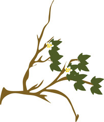 Tree Branch Illustration with Flowers