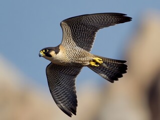 A peregrine falcon soaring at high speed, its wings cutting through the sky with unmatched agility