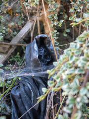 Grim Reaper model hiding in plant bushes.