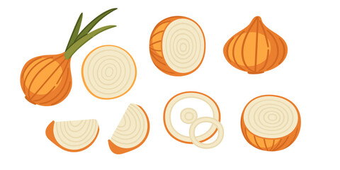 Yellow onion collection with green shoots whole and sliced rings pattern. Fresh bulb vegetable with layered interior structure. Vector illustration isolated on white background