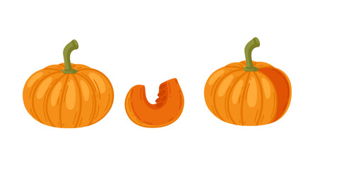Orange pumpkin collection with green stems whole and sliced wedge. Fresh autumn vegetable for seasonal cooking recipes. Vector illustration isolated on white background