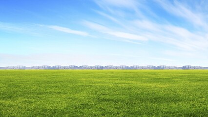 Vast Green Field Under a Blue Sky with Wispy Clouds and Distant Mountains