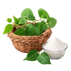 Gymnema inodorum leaf in the basket and sugar [Transparent Background PNG].