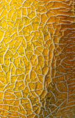 Melon close-up. Natural texture for background.