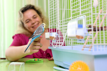 Woman holds a budgie on her finger near the cage in a green-walled room.