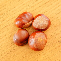 Four Shiny Brown Horse Chestnuts on Wooden Surface