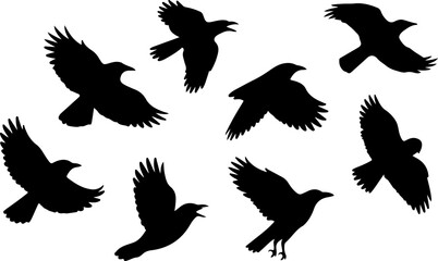 "Flying Raven and Crow Silhouettes Collection"

"Bird Flock Silhouette Set – Ravens & Crows"

"Dark Bird Flight Silhouette Vector Pack"