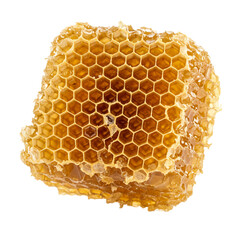 Piece of honeycomb showcasing the natural sweetness of fresh honey