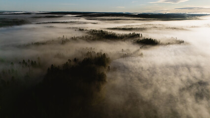 A serene scene unfolds as mist blankets Canyon Lake Julma Olkky, revealing lush forests at dawn. The tranquil waters reflect the soft hues of sunrise, showcasing Finlands natural beauty.