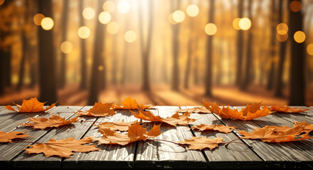 : Low fog rolling over a forest ridge at sunrise with autumn-colored treetops and soft golden light