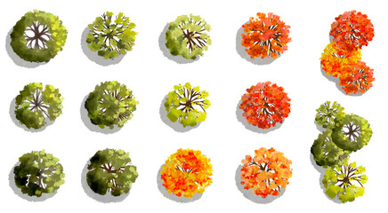 Vertor set of autumn tree,plants top view for landscape plan,schematic layout,eco environment concept design,watercolor ginkgo tree illustration,colorfulseason