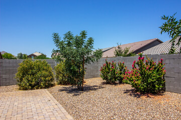 Rear Landscaped Yard With Tree, Bougainvillea And Oleander