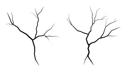 Two abstract tree-like cracks on white background
