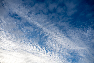 Kondensstreifen am blauen Himmel