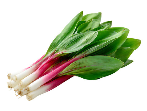 Ramps half slice