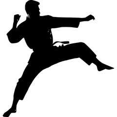 Silhouette karate martial arts fighter kick pose training vector image