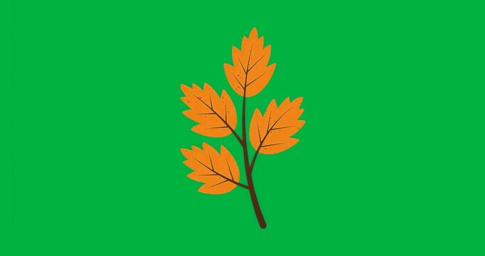 On load branch with five orange leaves glowing pulsing receding adding glow on transparent canvas