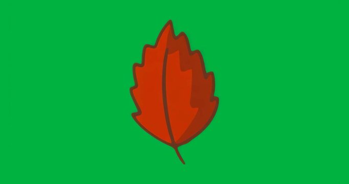 At start red leaf showing pixel noise flickering around edges on transparent canvas adding texture