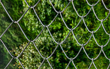 Fototapeta premium Wire fence background for security and transparency content.