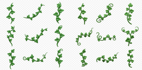 Collection of fifteen green ivy vines and tendrils in various shapes and orientations on a transparent background.