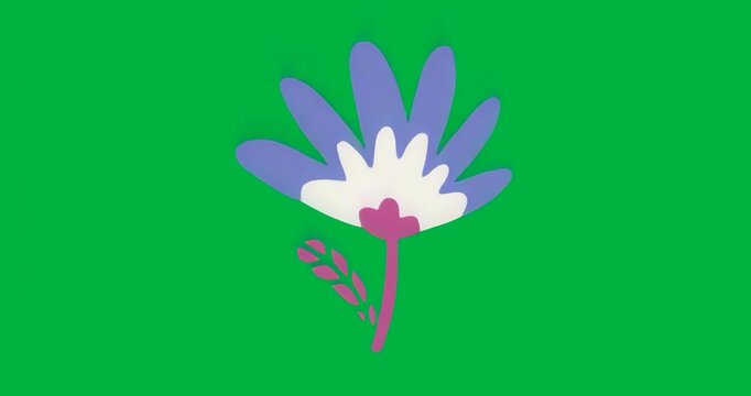 Upon frame loading, flower icon shimmering along petals on transparent background for decoration