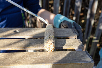 Fototapete bei efototapeten.de bestellen   