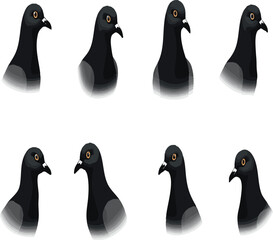 Pigeon kabootar head face set collection pack bundle black shape icon silhouette vector flat illustration design on white background.