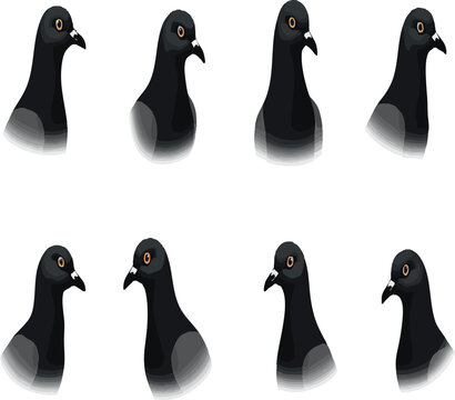 Pigeon kabootar head face set collection pack bundle black shape icon silhouette vector flat illustration design on white background.