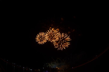 Golden Fireworks Exploding in Night Sky over River Festival Celebration