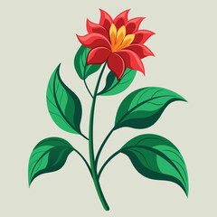 Elegant floral design featuring a single botanical illustration with vibrant color accents and clean typography