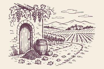 Vineyard landscape rustic sketch Tuscany France wine tourism vector illustration