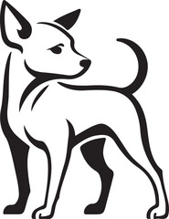 Chihuahua dog silhouette on white background, Small breed pet animal vector
