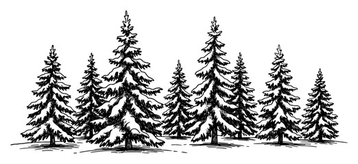 Snow Covered Fir Trees Woodland Scene in Winter Hand Drawn Black and White Outline Line Art Drawing