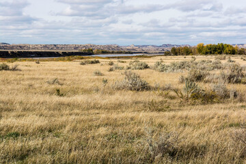Fototapeta premium grass and sky