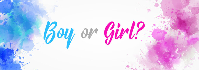 Boy or girl. Gender reveal illustration. Inspirational modern calligraphy lettering on watercolor painted splash. Template typography forhorizontal banner.