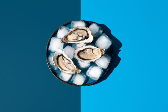 Deliciosas ostras frescas con hielo en un plato sobre un fondo azul bitono. Vista superior