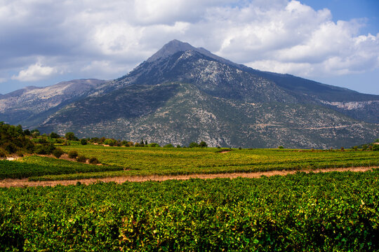 mountain landscape and vineyard nemea korinthia