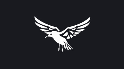 White bird spreading its wings against a dark background, creating a minimalist and symbolic image.