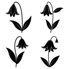 Fototapeta premium Illustration of four bellflower plants with leaves and stems in a black and white silhouette style