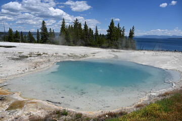 Geysers