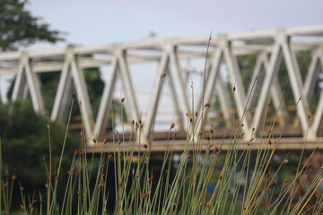 Obraz premium Steel bridge structure with green grass in foreground during daylight scene