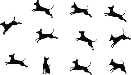 Dog running silhouette set, animal motion, pet vector icons, dog jump, dog action, canine movement, black outline, animation sequence, playful dog, dog design