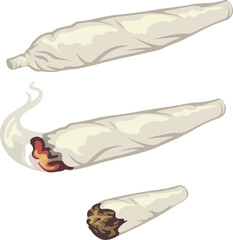 butterfly on a white background