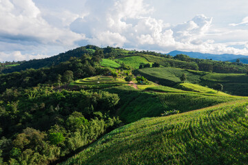 Aerial view of rice terraces and village in Loei province, Thailand.