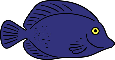 Bright Shoal Basslet Clipart