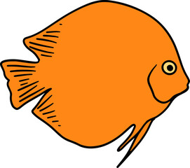 Bright Shoal Basslet Clipart