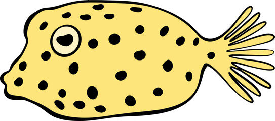 Bright Shoal Basslet Clipart