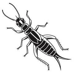 vector illustration of a black beetle